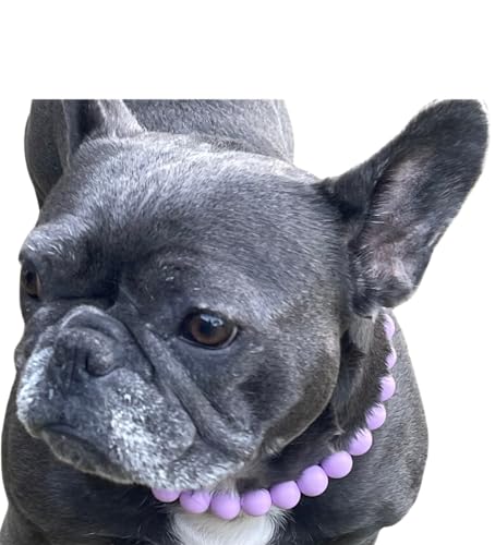 Dog Necklace (X-Large (24"), Solid, Lavender)