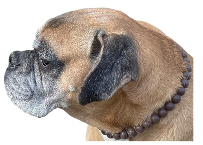Dog Necklace (Large (19-21"), Solid, Brown)