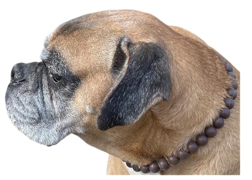 Dog Necklace (Large (19-21"), Solid, Brown)