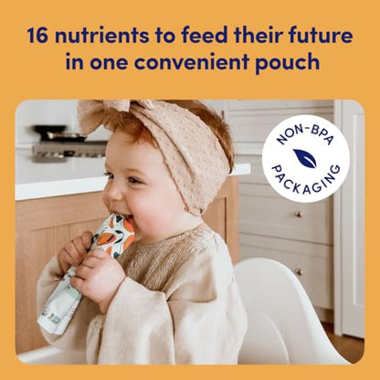 Cerebelly Baby Food Pouches – Organic Veggie Purees for Toddlers | No Added Sugar, Fiber, Non-GMO | Blended Toddler Pouches | 4 Ounce BPA-Free Pouch | Carrot Chickpea | 12 Count