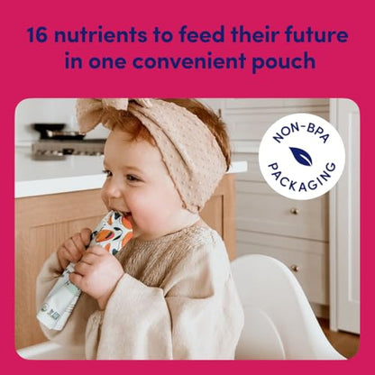 Cerebelly Baby Food Pouches – Organic Dairy Free Smoothies for Toddlers | No Added Sugar, Fiber, Non-GMO | Baby Smoothie Pouches | 4 Ounce BPA-Free Pouch | Spinach Strawberry | 12 Count