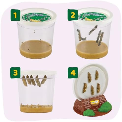 Insect Lore Raise and Release Butterfly Garden Kit – Caterpillar Habitat with redeemable Voucher – STEM-accredited Live Butterfly Growing Kit for Kids, Classrooms, and Homeschool Learning