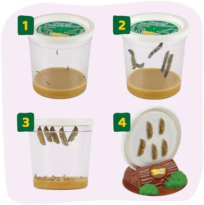 Insect Lore Raise and Release Butterfly Garden Kit – Caterpillar Habitat with redeemable Voucher – STEM-accredited Live Butterfly Growing Kit for Kids, Classrooms, and Homeschool Learning