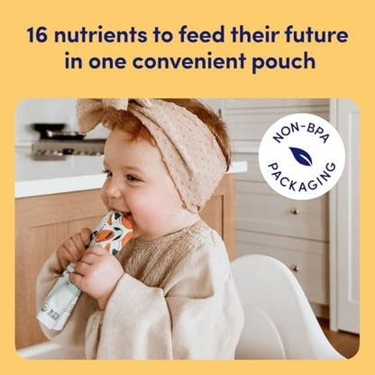 Cerebelly Organic Baby Food Pouches – Organic Veggie Purees for Toddlers | No Added Sugar, Fiber, Non-GMO | Blended Toddler Food | 4oz BPA-Free Baby Food | Carrot Pumpkin | 12 Count