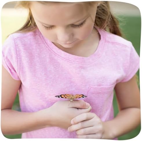Insect Lore Raise and Release Butterfly Garden Kit – Caterpillar Habitat with redeemable Voucher – STEM-accredited Live Butterfly Growing Kit for Kids, Classrooms, and Homeschool Learning
