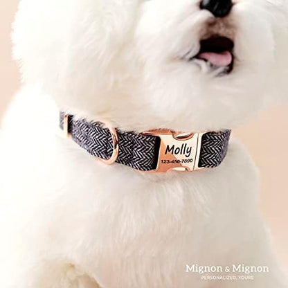 Personalized Dog Collar, Custom Pet Name and Contact Info Engraved, Adjustable Cotton Collar for Small Dogs, Cats, and Puppies with Safety Buckle – ACL