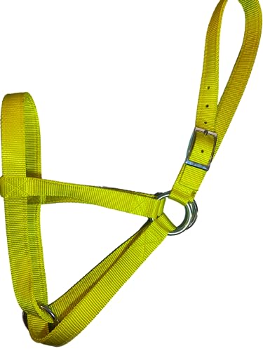 Cattle Halter Newborn Calf Yearling Cow Bull (Cow, Yellow)