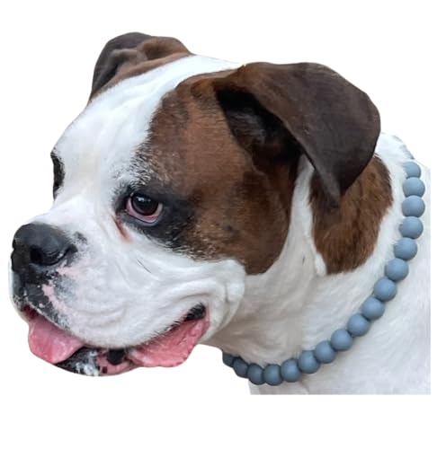 Dog Necklace (X-Small (12"), Solid, Gray)