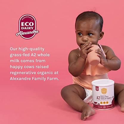 Serenity Kids 12+ Months Toddler Formula with Grass-Fed A2 Milk Powder - Organic Powdered Milk - Easy to Digest & Prebiotic Boost - DHA & ARA Support - 12.7 Oz, 6 Pack