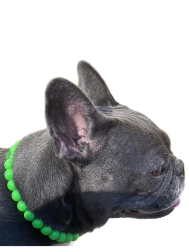 Dog Necklace (X-Small (12"), Solid, Green)