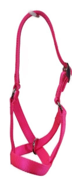 Cattle Halter Newborn Calf Yearling Cow Bull (Yearling, Red)