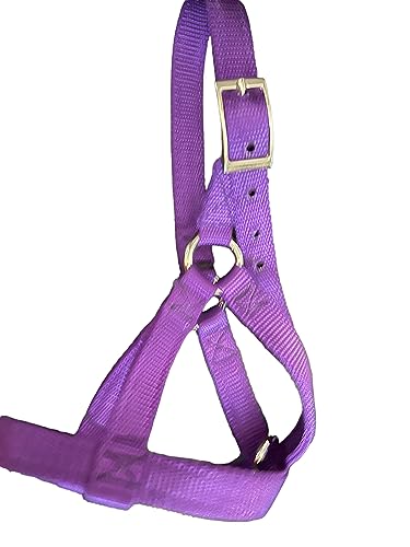 Cattle Halter Newborn Calf Yearling Cow Bull (Calf, Purple)