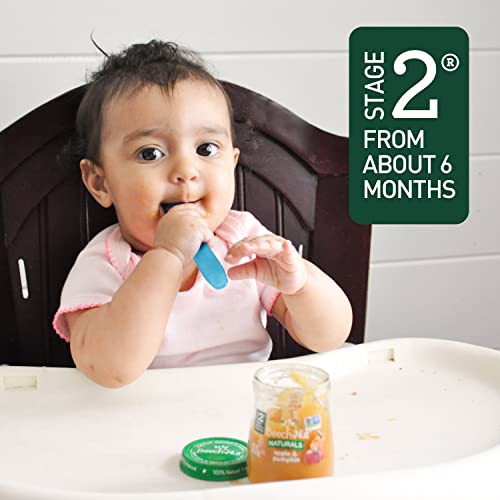 Beech-Nut Baby Food Pouches, Pumpkin Zucchini Apple Veggie Puree Baby & Toddler Food, 3.5 oz (24 Pack)