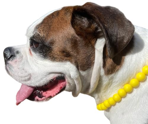 Dog Necklace (X-Small (12"), Solid, Yellow)