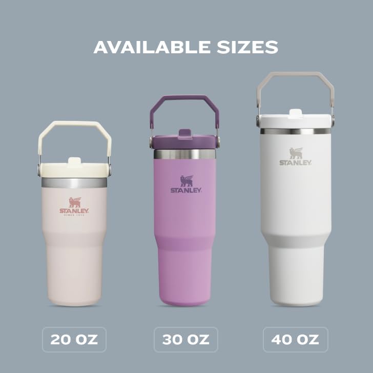 Stanley IceFlow Flip Straw Tumbler with Handle 20 oz | Twist On Lid and Flip Up Straw | Leak Resistant Water Bottle | Insulated Stainless Steel |BPA-Free | Black 2.0