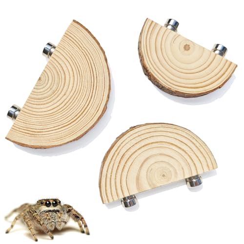 3 Pack Jumping Spider Enclosure Climbing Platforms, Magnetic Jumping Spider Wooden Ledge Ladder, Jumping Spider Accessories, Habitat Decor for Small Light Critters