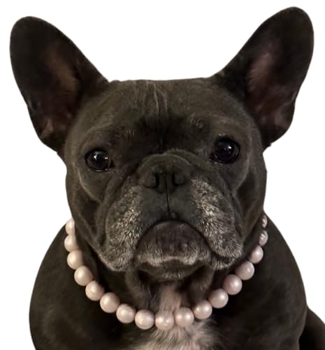 Dog Necklace (X-Large (24"), Solid, Pink Pearl)