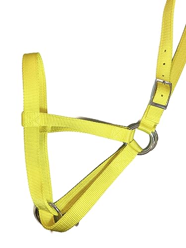 Cattle Halter Newborn Calf Yearling Cow Bull (Newborn, Yellow)
