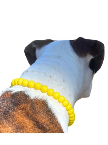 Dog Necklace (X-Small (12"), Solid, Yellow)