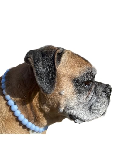 Dog Necklace (Medium (16-18"), Solid, Baby Blue)