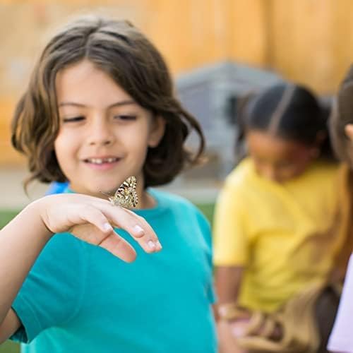 Insect Lore Raise and Release Butterfly Garden Kit – Caterpillar Habitat with redeemable Voucher – STEM-accredited Live Butterfly Growing Kit for Kids, Classrooms, and Homeschool Learning