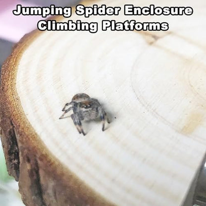 3 Pack Jumping Spider Enclosure Climbing Platforms, Magnetic Jumping Spider Wooden Ledge Ladder, Jumping Spider Accessories, Habitat Decor for Small Light Critters