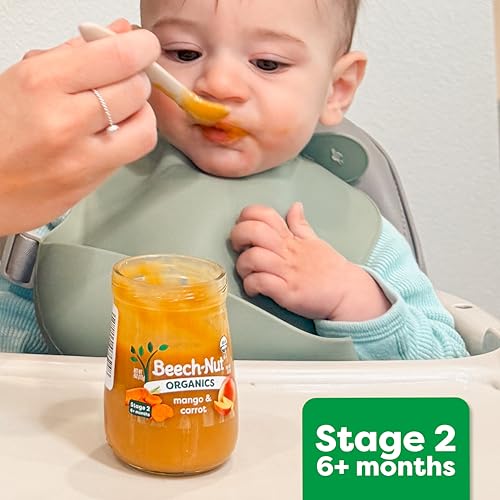 Beech-Nut Baby Food Pouches, Pumpkin Zucchini Apple Veggie Puree Baby & Toddler Food, 3.5 oz (12 Pack)