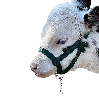 Cattle Halter Newborn Calf Yearling Cow Bull (Newborn, Blue)