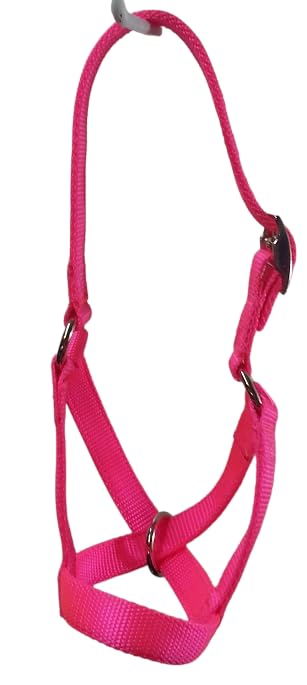 Cattle Halter Newborn Calf Yearling Cow Bull (Cow, Pink)