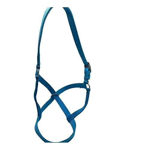 Cattle Halter Newborn Calf Yearling Cow Bull (Calf, Turquois)