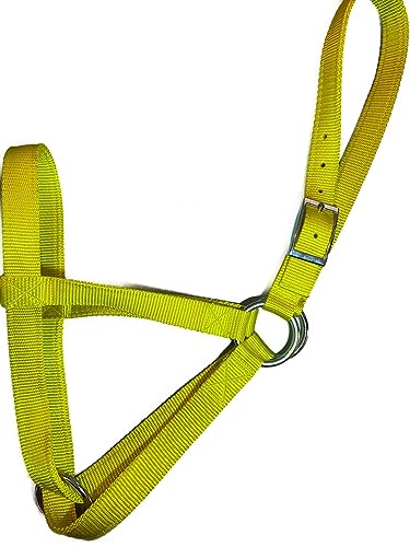 Cattle Halter Newborn Calf Yearling Cow Bull (Bull, Yellow)