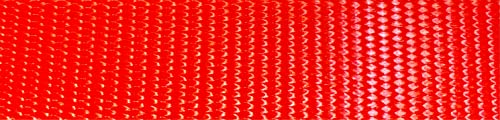 Cattle Halter Newborn Calf Yearling Cow Bull (Bull, Red)