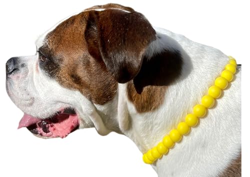 Dog Necklace (Large (19-21"), Solid, Yellow)