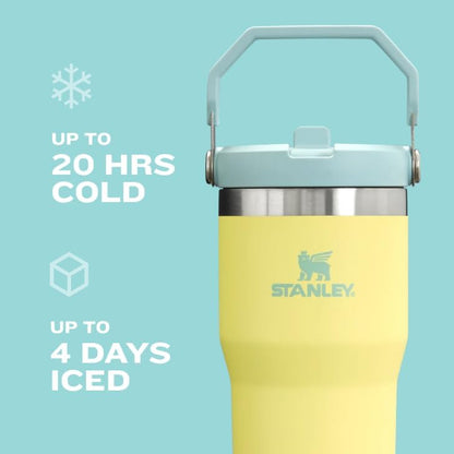 Stanley IceFlow Flip Straw Tumbler with Handle 30 oz | Twist On Lid and Flip Up Straw | Leak Resistant Water Bottle | Insulated Stainless Steel |BPA-Free | Pomelo