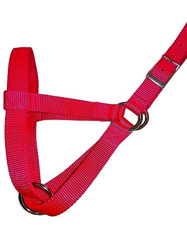 Cattle Halter Newborn Calf Yearling Cow Bull (Cow, Orange)