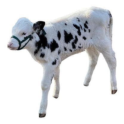 Cattle Halter Newborn Calf Yearling Cow Bull (Cow, Yellow)