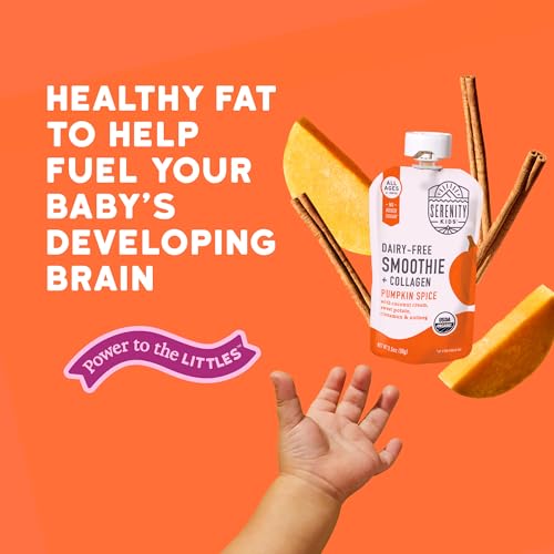 Serenity Kids Organic Pumpkin Spice Protein Smoothie Pouch - USDA Organic - Dairy Free, 3.5 Ounces (Pack Of 12)