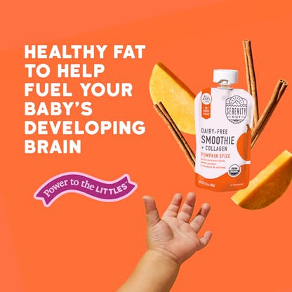 Serenity Kids Organic Pumpkin Spice Protein Smoothie Pouch - USDA Organic - Dairy Free, 3.5 Ounces (Pack Of 12)
