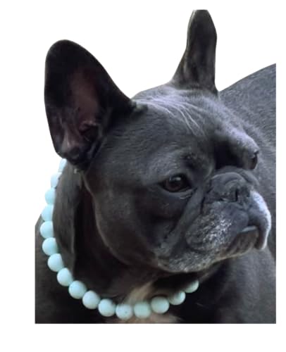 Dog Necklace (Small (15"), Solid, Mint)