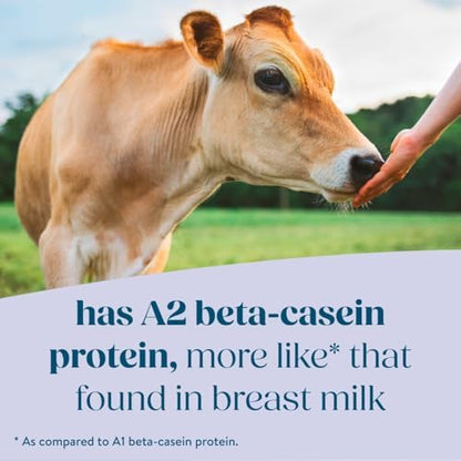 Pure Bliss by Similac Organic with A2 Milk Infant Formula, Easy to Digest, USDA-Certified Organic, Powder, 20.6-oz Tub