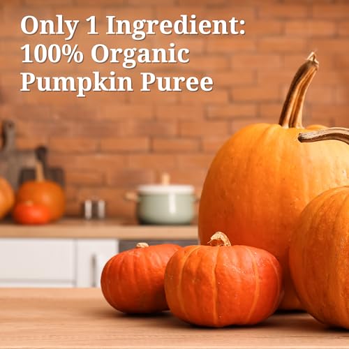 Farmer's Market Organic Pumpkin Puree, 15 Ounce (Pack of 12)
