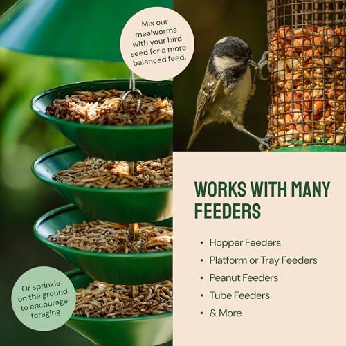 Dried Mealworms for Wild Birds 2 lbs – Non GMO High Protein Mealworms for Chickens and Laying Hens - Turtle Food - Chicken Feed