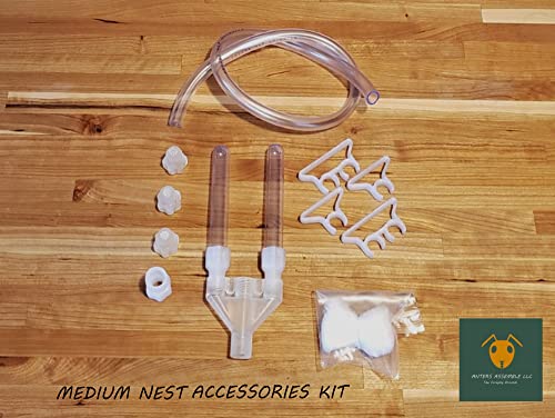 Carpenter Ant Nest, Gen 2 (Medium, Wood Like)