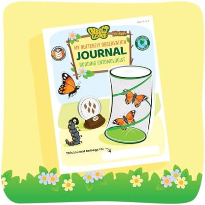 Insect Lore Raise and Release Butterfly Garden Kit – Caterpillar Habitat with redeemable Voucher – STEM-accredited Live Butterfly Growing Kit for Kids, Classrooms, and Homeschool Learning