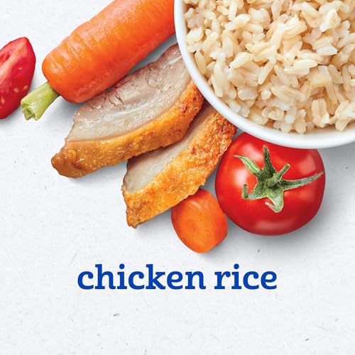 Gerber Baby Food 2nd Foods, Dinner, Chicken & Rice Puree, 4 Ounce Tubs, 2 Count (Pack of 8)