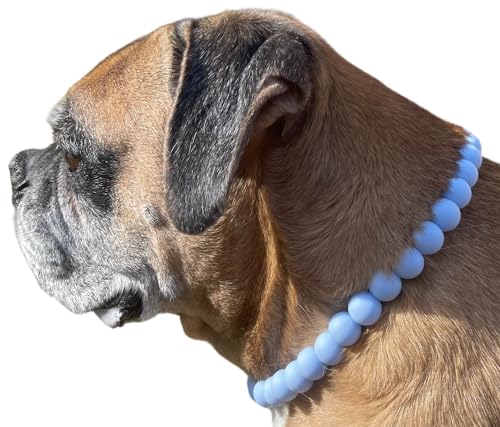 Dog Necklace (X-Small (12"), Solid, Baby Blue)