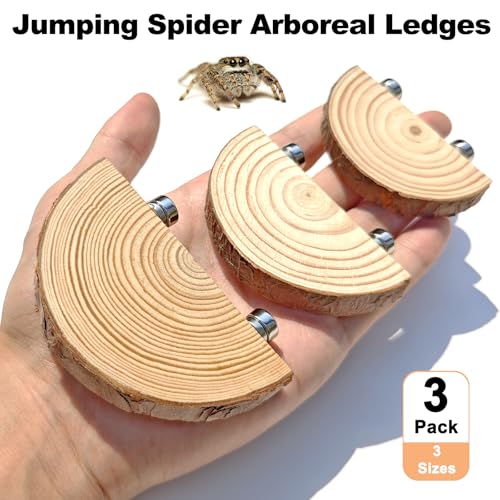 3 Pack Jumping Spider Enclosure Climbing Platforms, Magnetic Jumping Spider Wooden Ledge Ladder, Jumping Spider Accessories, Habitat Decor for Small Light Critters