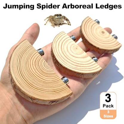 3 Pack Jumping Spider Enclosure Climbing Platforms, Magnetic Jumping Spider Wooden Ledge Ladder, Jumping Spider Accessories, Habitat Decor for Small Light Critters