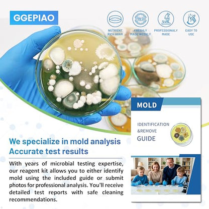 Mold Test Kit for Home,14 Simple Detection Tests,Test HVAC System,Home Surfaces, Indoor Air Quality Testing,DIY Mold Detector,Includes Detailed Mold Identification Guide,Black Mold Testing kit
