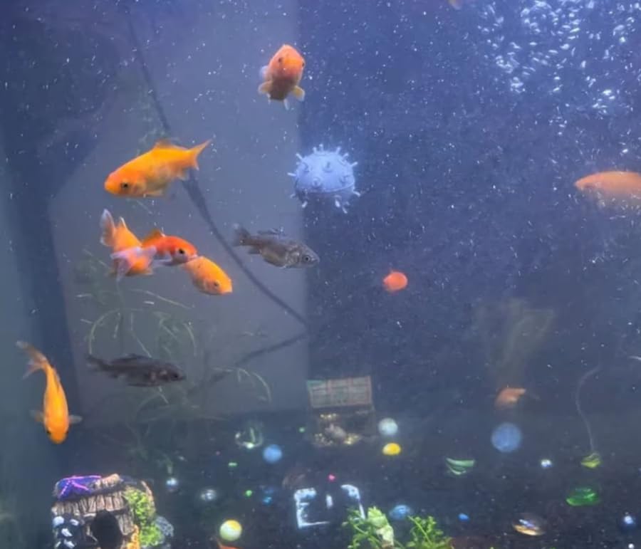 Floating Sea Mine Fish Tank Decoration